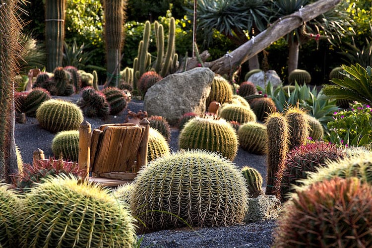 Giardini Ravino Ischia