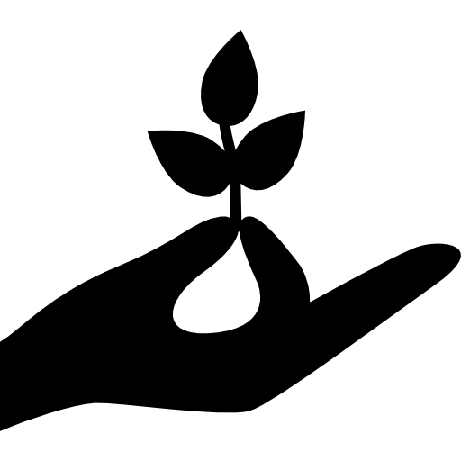 Icona del sito